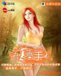 追美高手