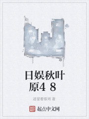 日娱秋叶原48
