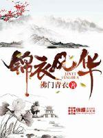 锦衣风华唱精忠报国