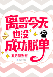 离哥今天也没成功脱单txt八零