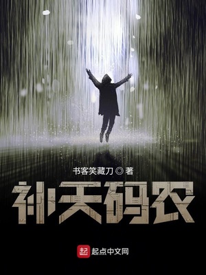 补天码农起点下架
