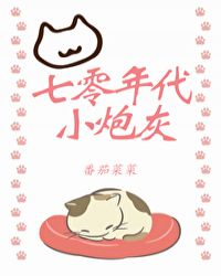 七零年代小炮灰txt下载百度云