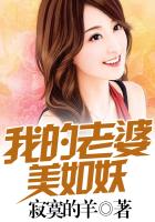 我的老婆美如妖