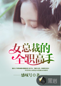 女总裁的全职高手陈寞之辛辛之头