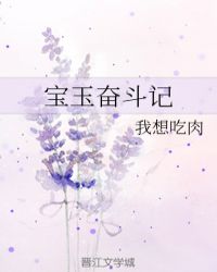 宝玉奋斗记