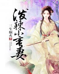 泼辣小蛮妻