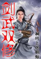 剑武双修