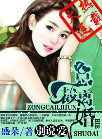 总裁离婚别说爱