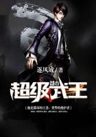 都市超级武王