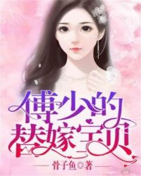 傅少的替嫁宝贝百度