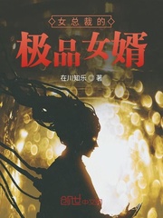 女总裁的极品女婿