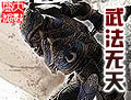 武法无天无删减校对版