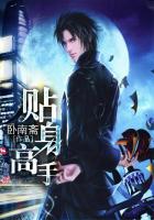 贴身高手