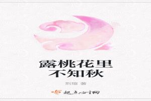 风云乱——乱世桃花逆水流