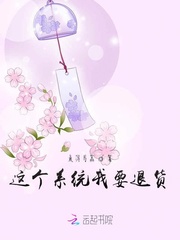 这个系统我要退货