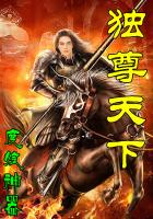 独尊天下