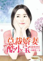 恋爱33日，总裁娇妻酷小宝