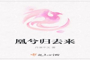 凰兮归去来