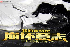 我的系统是崩坏意志