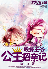 甩掉王爷：公主招亲记