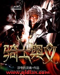 骑士奥义