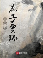 穿越红楼之庶子贾环