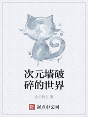 次元墙破碎的世界