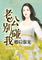 婚后强宠：老公别碰我