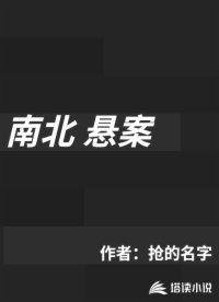 南北悬案 抢的名字