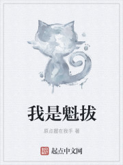 我是魁拔百度