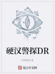 硬汉警探DR