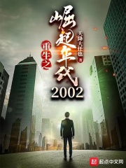 重生之崛起年代2002