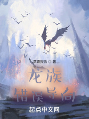 龙族：错误导向