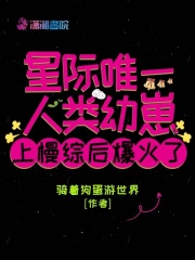 星际唯一人类幼崽上慢综后爆火了TXT下载