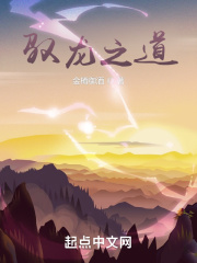 驭龙之道