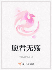 愿君无殇