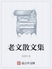 老文散文集