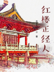 红楼正经人TXT下载
