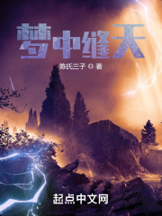 梦中缝天