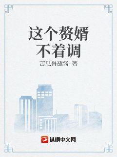 这个赘婿不着调
