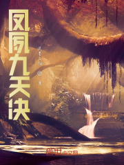 凤夙九天决