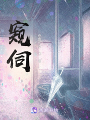窥伺