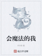 会魔法的我