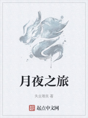 月夜之旅