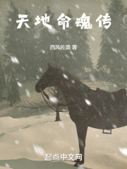天地命魂传