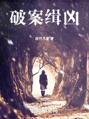 破案缉凶