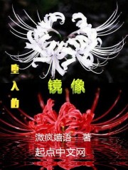 堕入的镜像