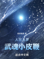 人在斗罗，武魂小皮鞭