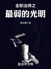 全职法师之最弱的光明
