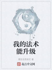 我的法术能升级